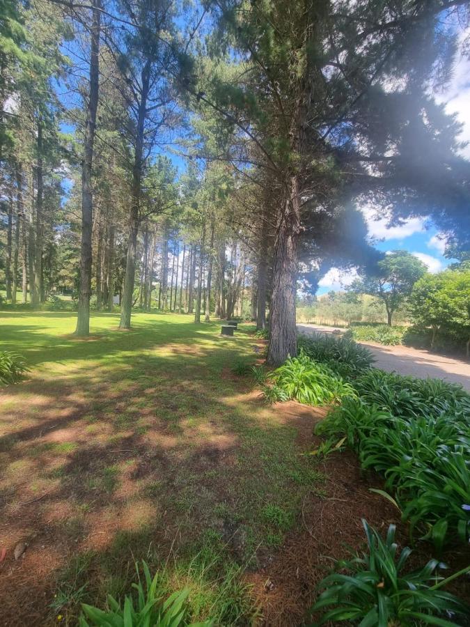 Savana Estate Poukawa Εξωτερικό φωτογραφία