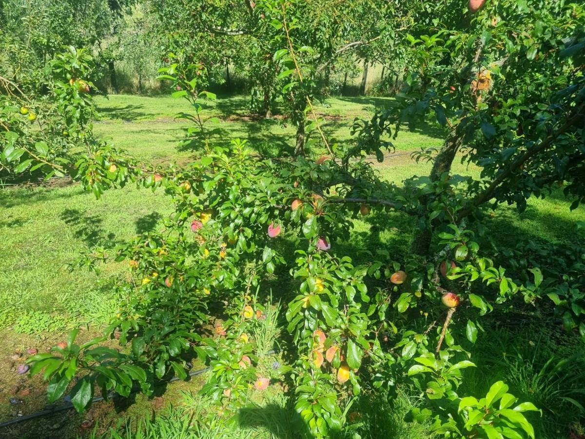 Savana Estate Poukawa Εξωτερικό φωτογραφία